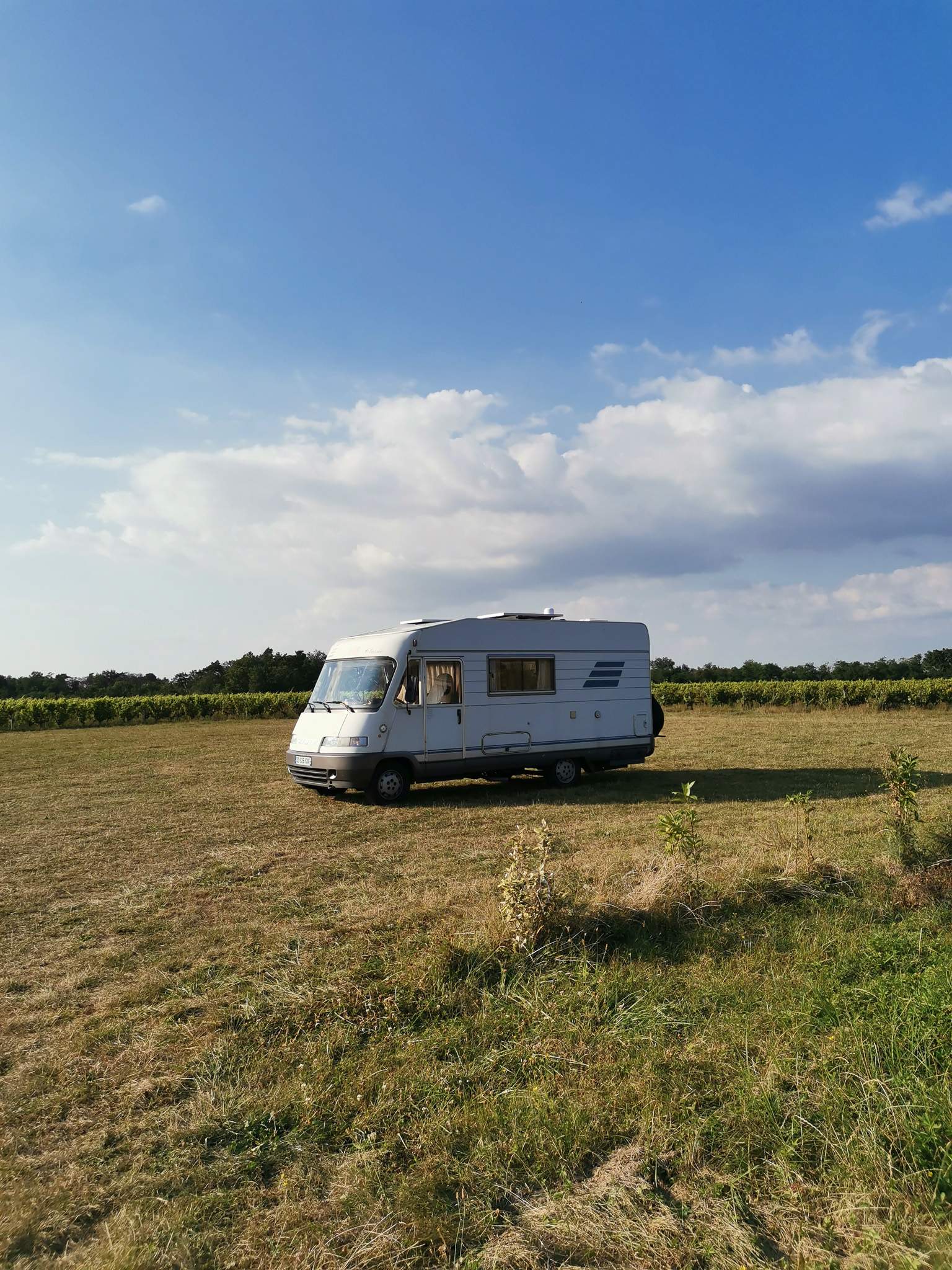 Camper van Edouard is parked in the heart of a meadow under a summer sky, illustrating the freedom of vanlife in the great outdoors.