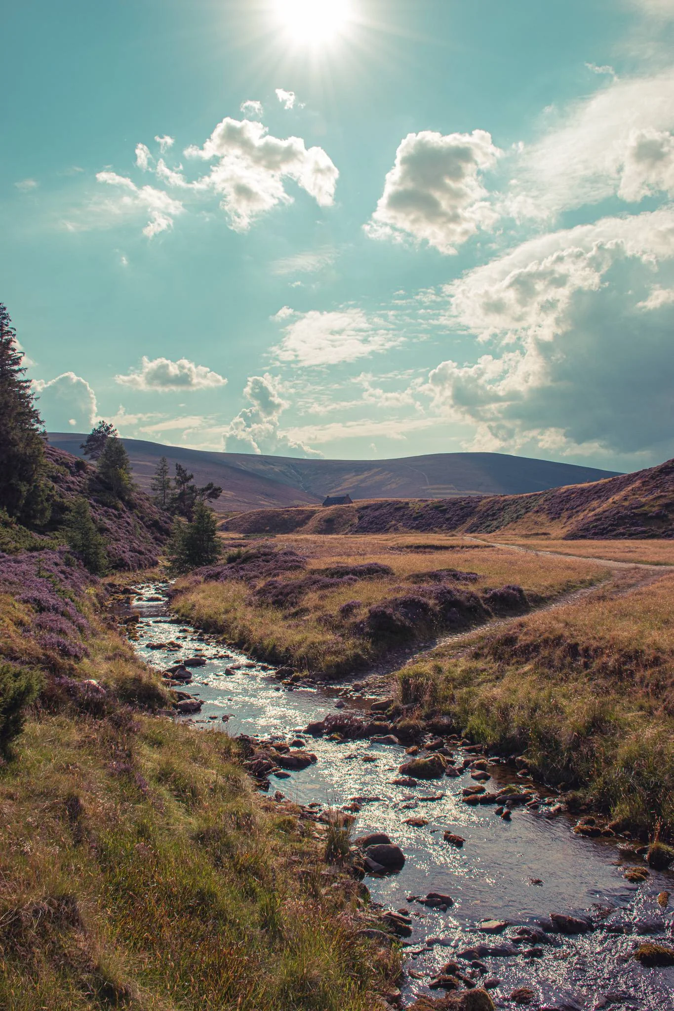 Winding river that flows through a wild valley of the Cairngorms National Park