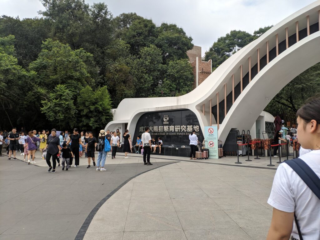 A giant panda at the Chengdu research base