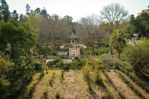 Der botanische Garten von Coimbra, oder wie Xavier sagt, das „Ich kann mich nicht an den Namen erinnern