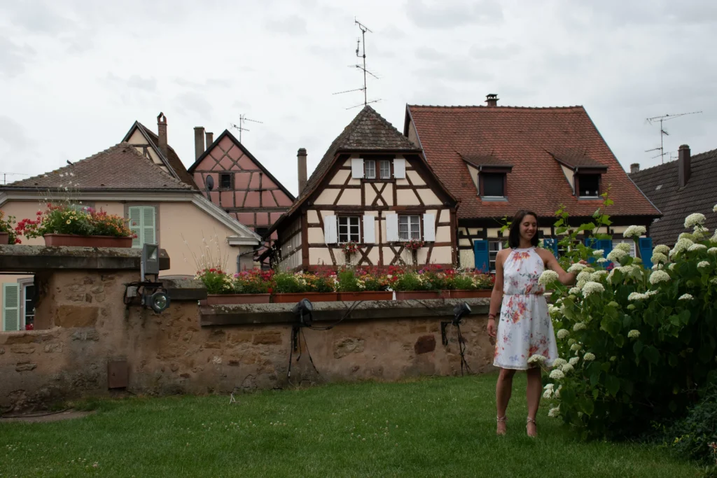 Fachwerkhäuser und Blumen in Éguisheim südwestlich von Colmar