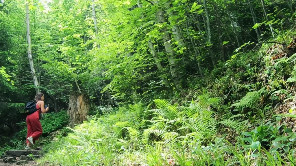 Caroline auf dem Waldweg oberhalb des Urmibergs